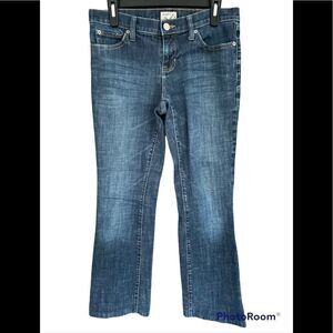 GAP Long and lean 5 pocket straight leg jeans, size 4/27R